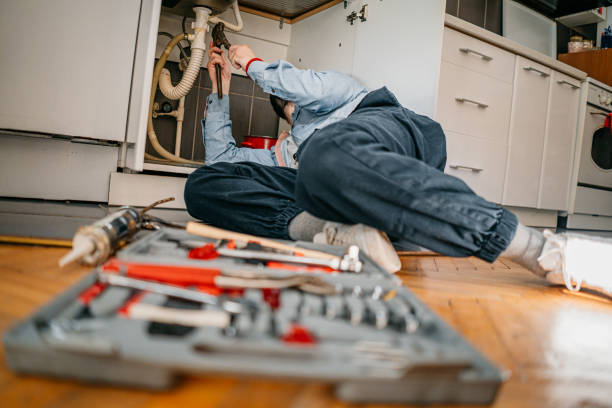 Best Plumbing Inspection Services  in Pocono Ranch Lands, PA