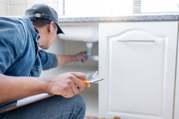 Best Commercial Plumbing Services  in Pocono Ranch Lands, PA