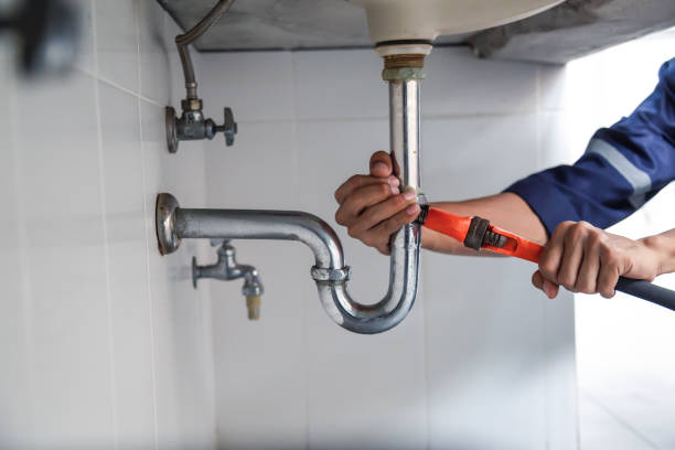 Best Affordable Plumbing Services  in Pocono Ranch Lands, PA