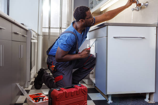 Best Affordable Plumbing Services  in Pocono Ranch Lands, PA